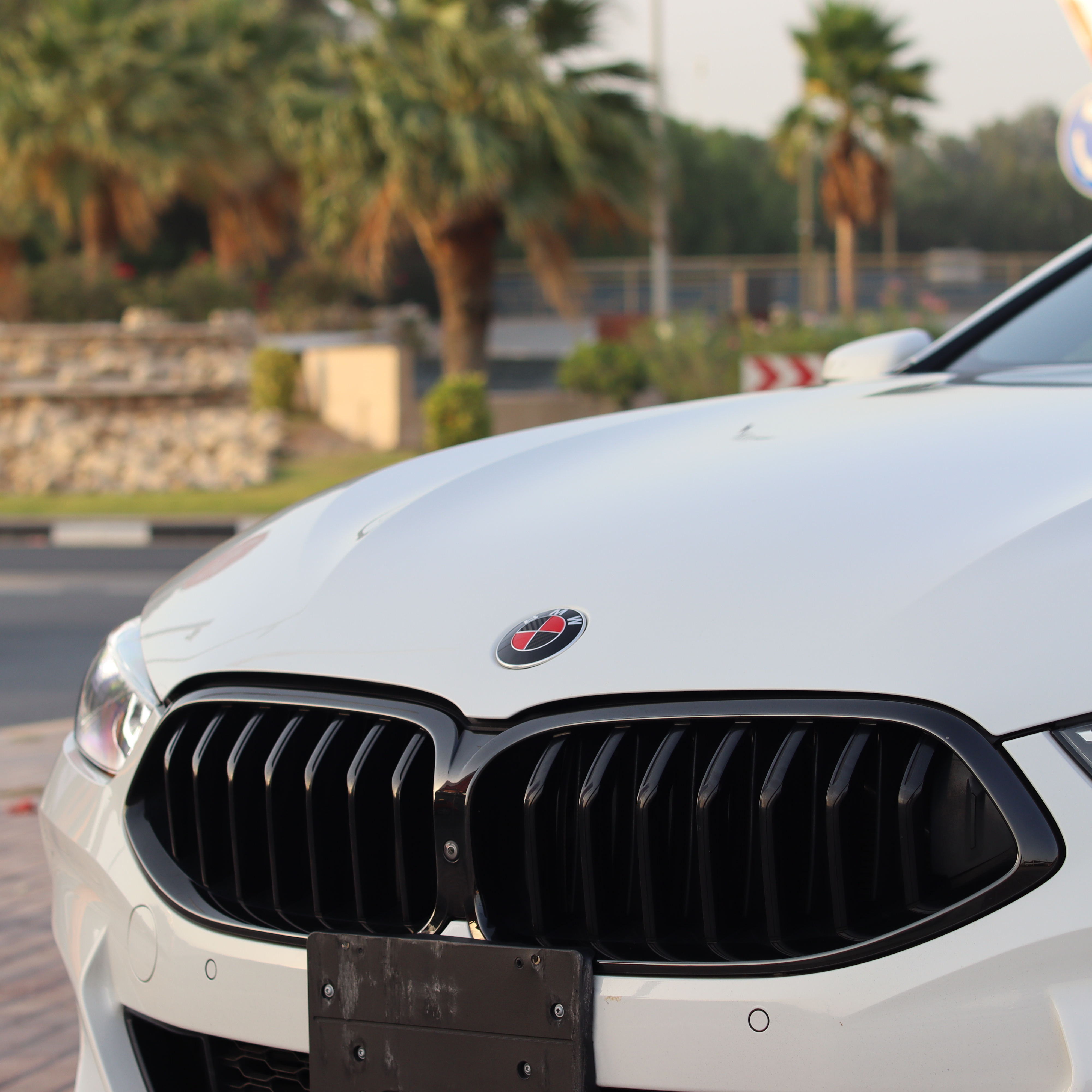 BMW 8 Series Coupe 2021 3L
