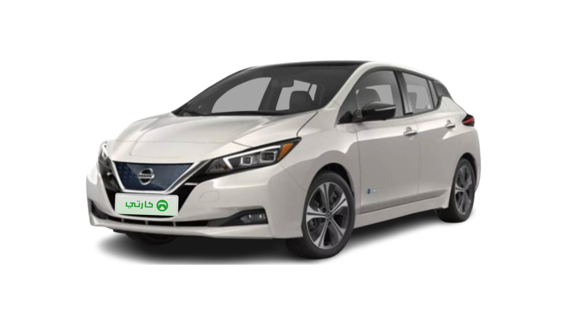 Nissan Nissan Leaf