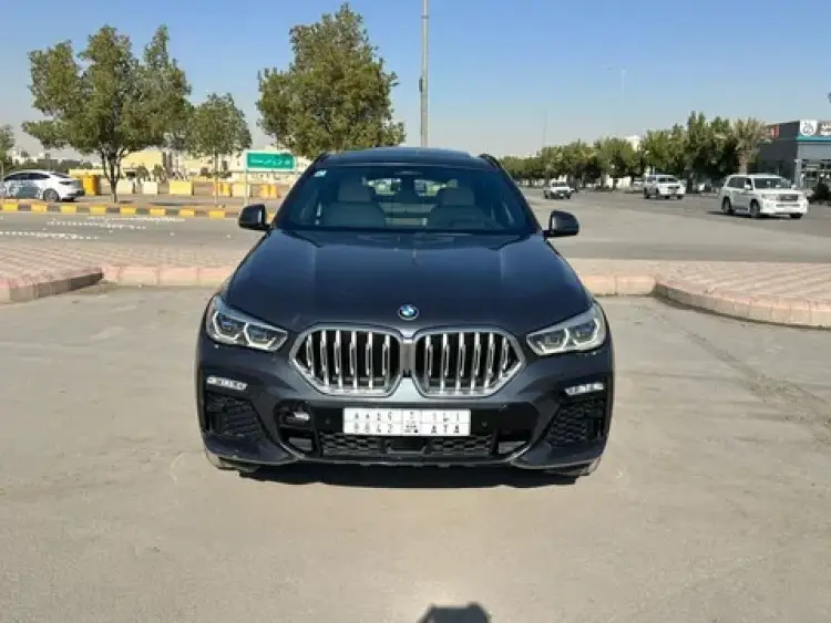 bmw x6 image BMW X6 2020