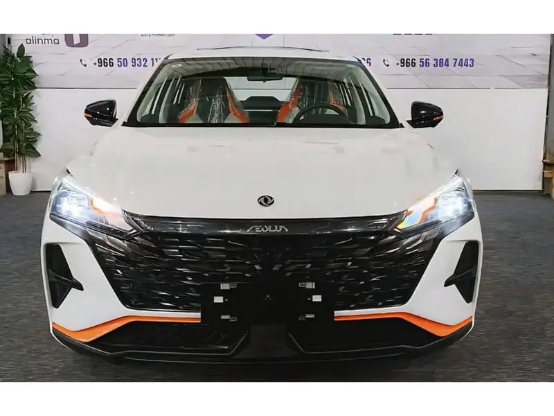 Dongfeng SHINE 2025
