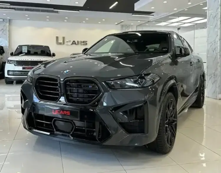bmw x6 image New BMW X6 2025