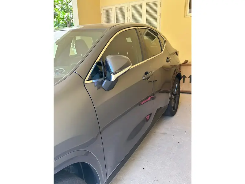 Lexus NX 2024