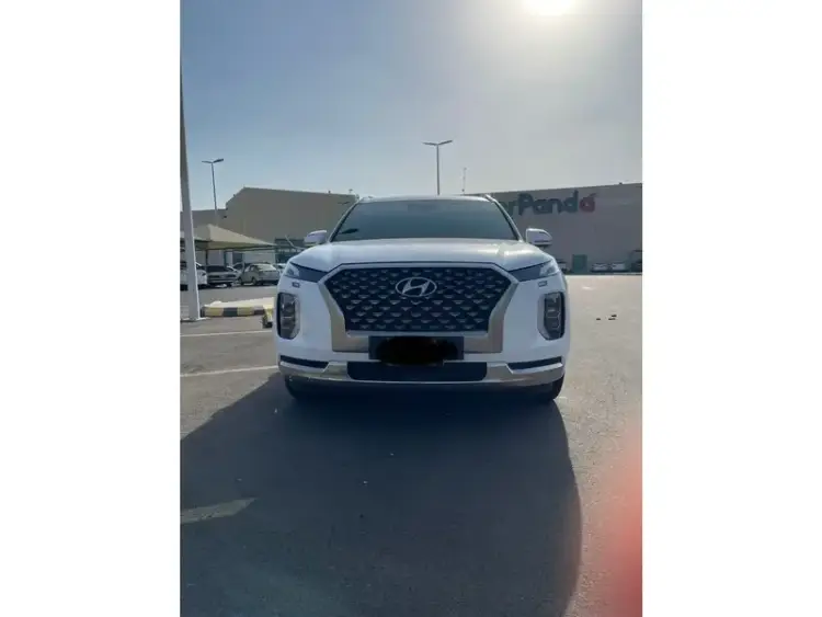 hyundai palisade image Hyundai Palisade 2022