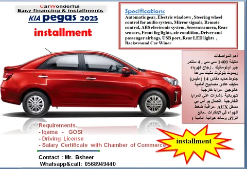 New Kia Pegas 1.4L EX 2025