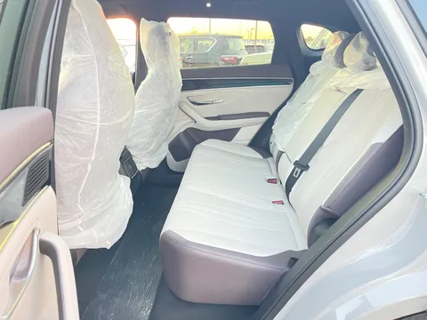 New BYD Song Plus 2025