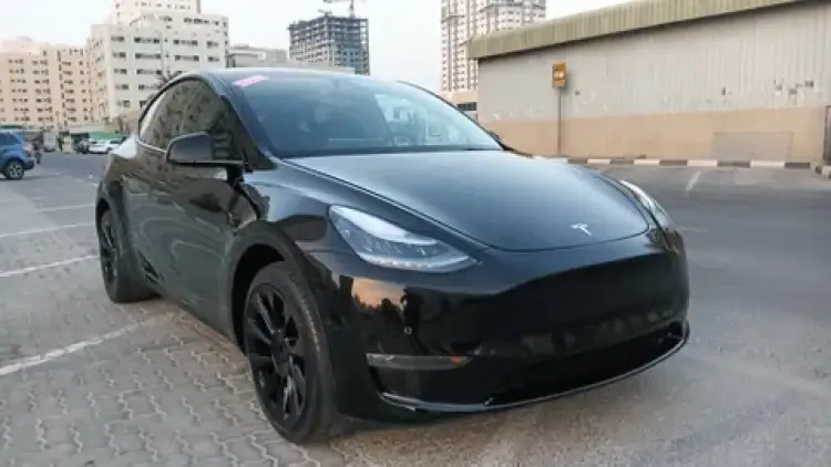 tesla tesla-model-y image Tesla Model Y Long Range (AWD) 2022