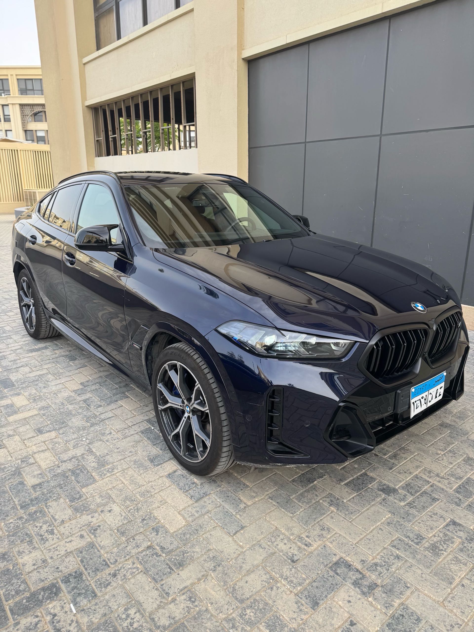 BMW X6 2024