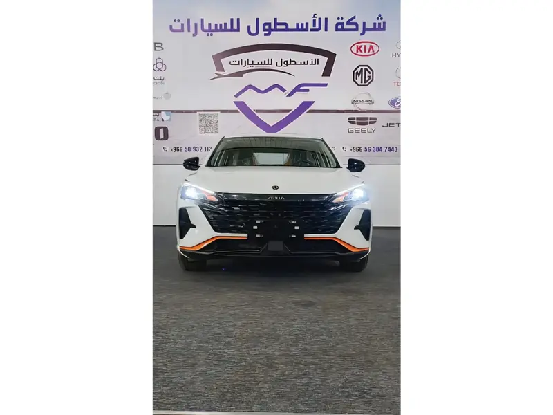 Dongfeng SHINE 2025
