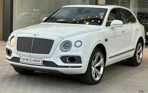 استكشف undefined undefined الصور الخارجية والداخلية. اكتشف جميع جوانب وتفاصيل السيارات.