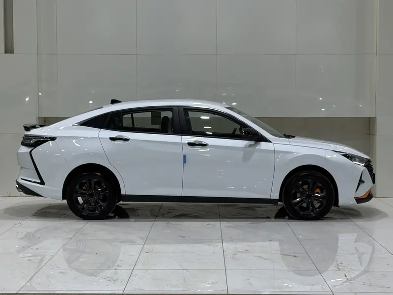 Dongfeng SHINE 2025