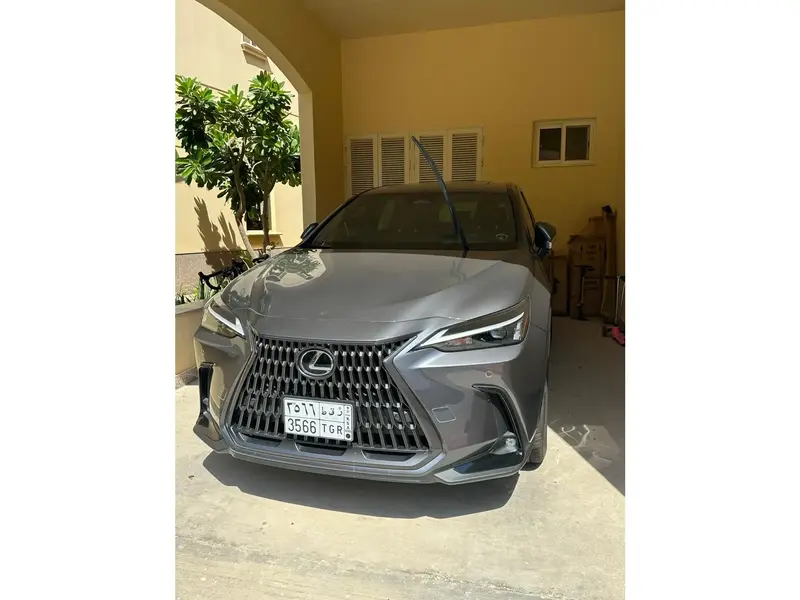 Lexus NX 2024