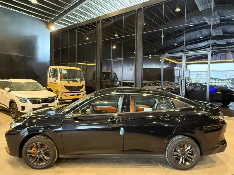 Dongfeng SHINE 2025