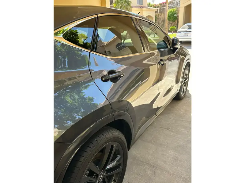 Lexus NX 2024