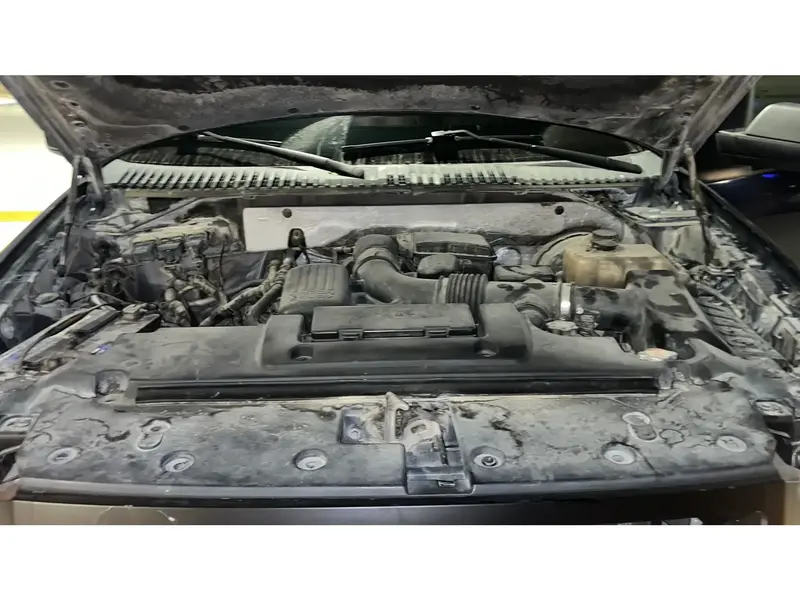 Ford Expedition 2009