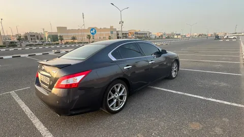 Nissan Maxima 3.5L SR2 2011