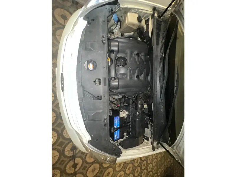 KIA Carnival 2009