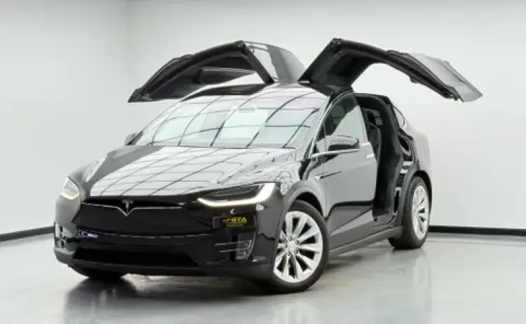 tesla model-x image Tesla Model X 100D 2018