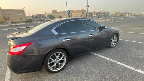 Nissan Maxima 3.5L SR2 2011
