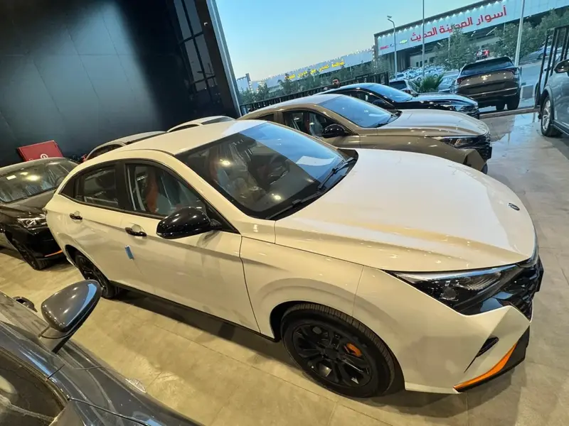 Dongfeng SHINE 2025