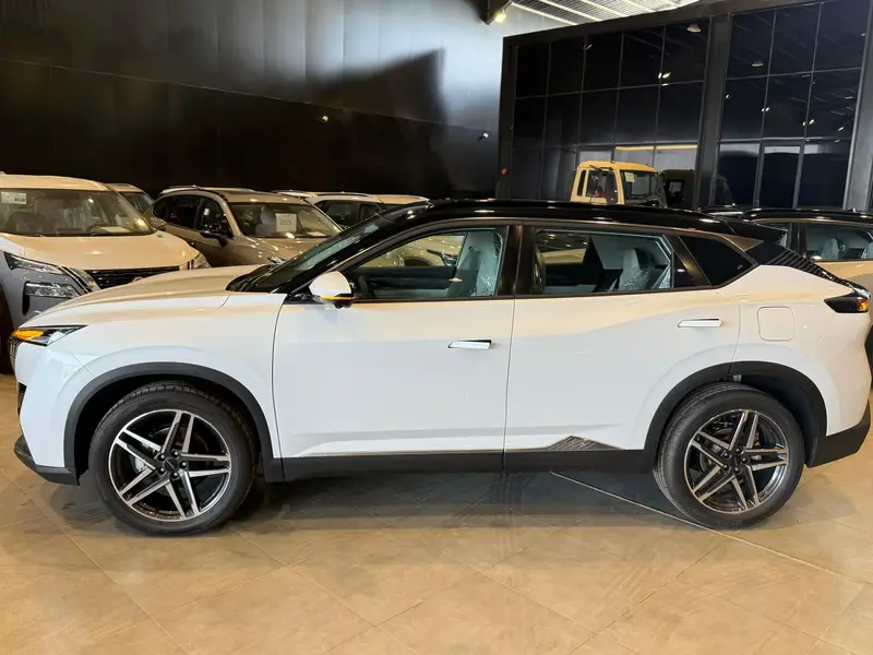 Dongfeng Mage 2025