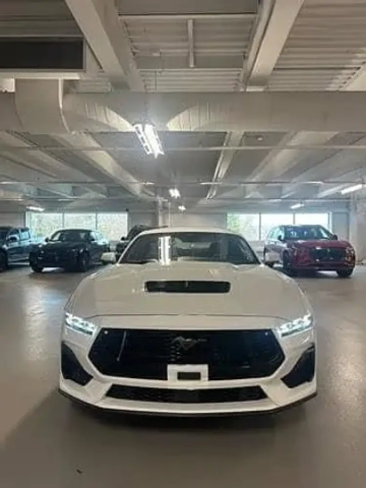 ford mustang image Ford Mustang 2024