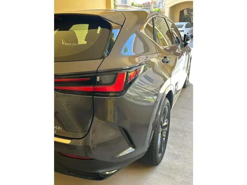 Lexus NX 2024
