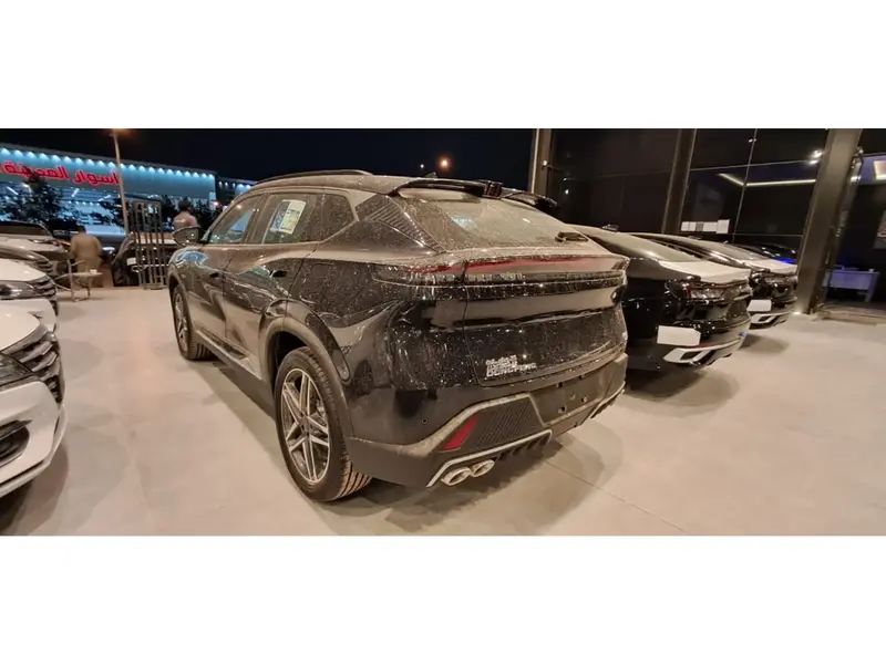 Dongfeng Mage 2025