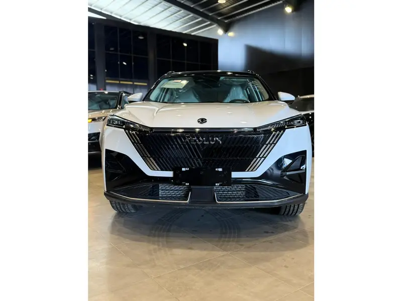 Dongfeng Mage 2025