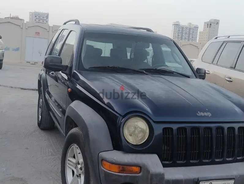 جيب ليبيرتي 2004