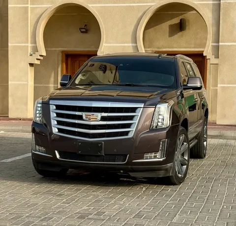 Cadillac Escalade 6.2L Platinum 2016