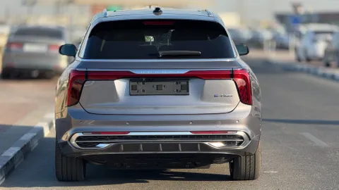 New Hongqi E-HS9 Flagship (7 Seats) 2024