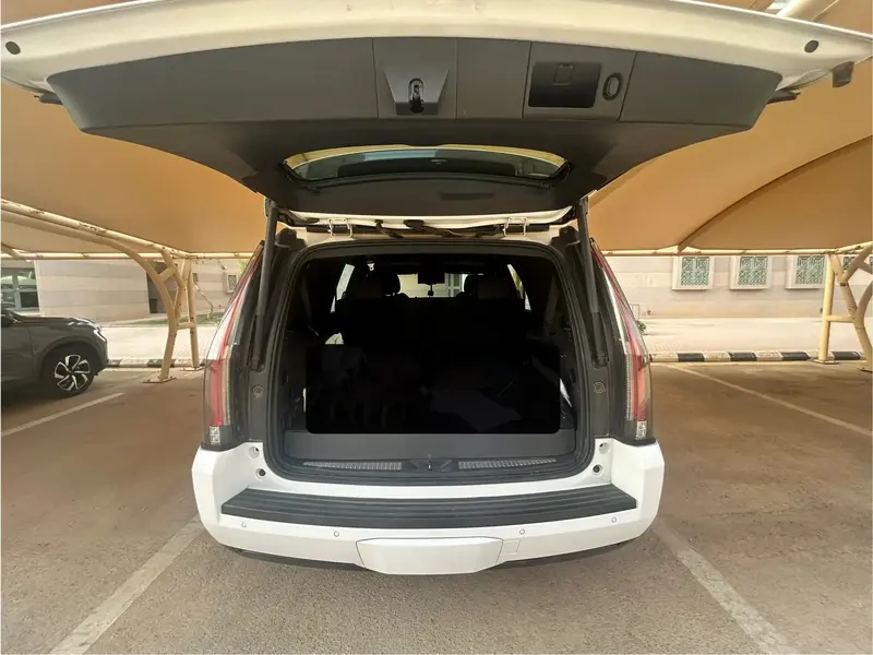 Cadillac Escalade Platinum 2020