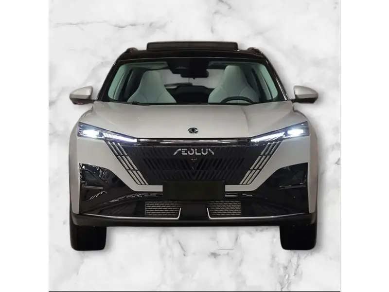 Dongfeng SHINE 2025