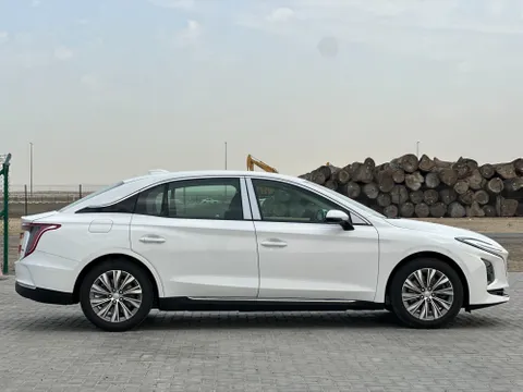 New Hongqi E-QM5 Luxury 2024