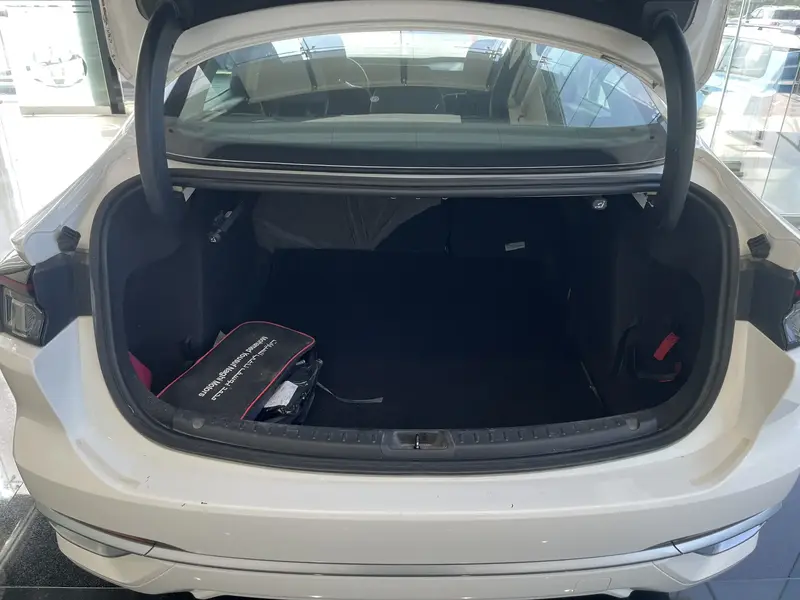 Ford Taurus 2023