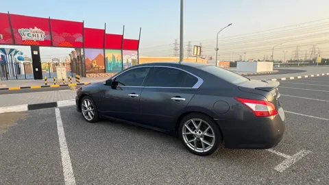 Nissan Maxima 3.5L SR2 2011