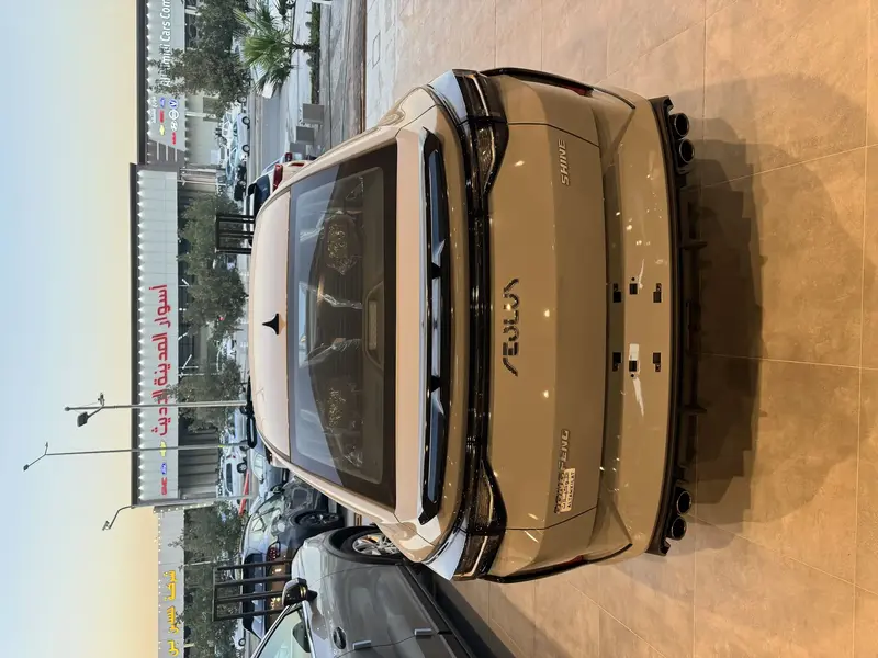 Dongfeng SHINE 2025