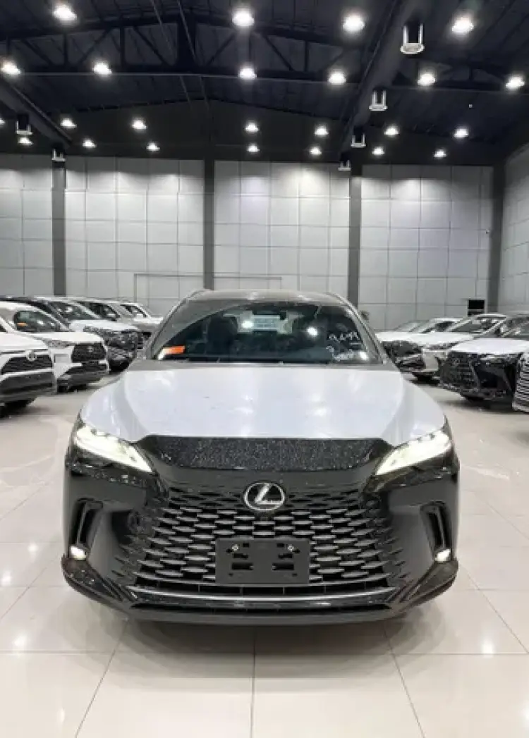 lexus lexus-rx image New Lexus RX 350 2024