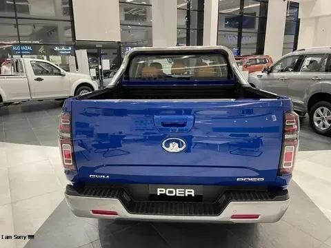 New Great Wall POER 2024