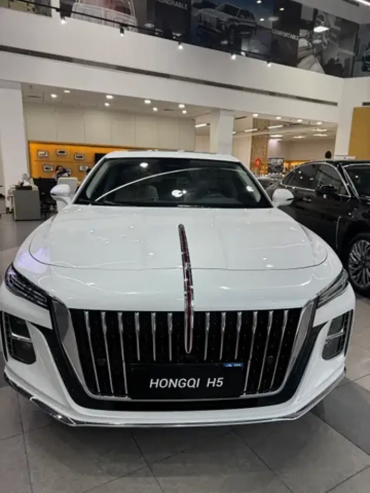 hongqi h5 image New Hongqi H5 2024