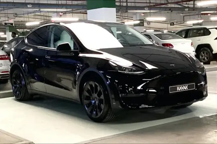 tesla tesla-model-y image New Tesla Model Y 2023