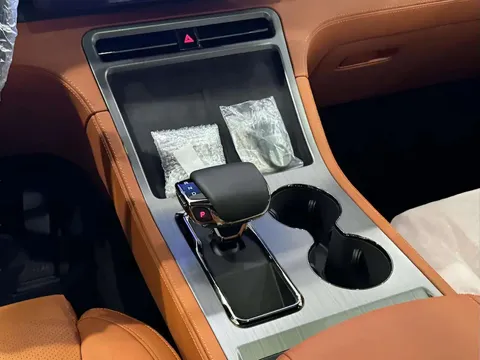 New ROX 01 1.5T VIP (PHEV) 2024