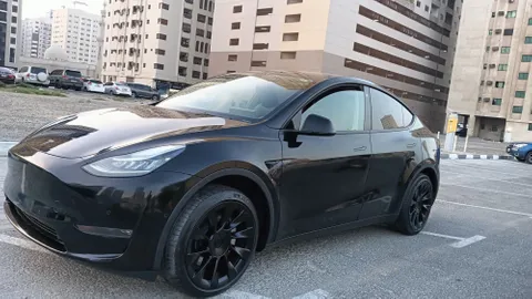 Tesla Model Y Long Range (AWD) 2022