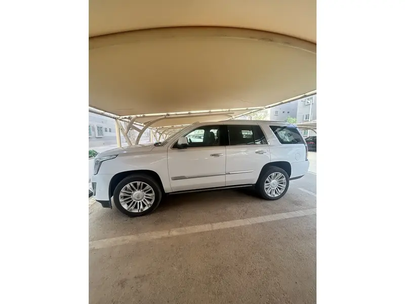 Discover undefined undefined Exterior Interior Images.Find all aspects and details of cars.