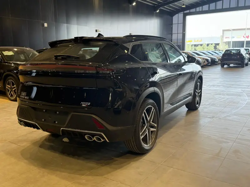 Dongfeng Mage 2025