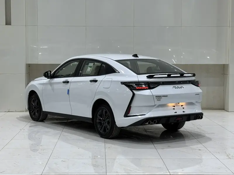 Dongfeng SHINE 2025