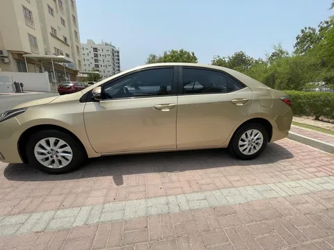 Toyota Corolla 2.0L XLI 2019