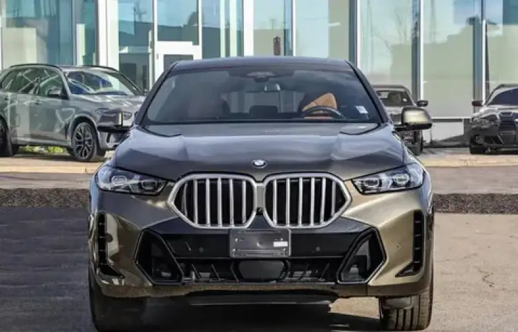 bmw x6 image BMW X6 2024