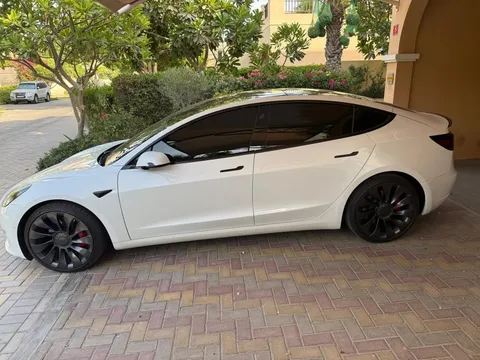 Tesla Model 3 Performance (AWD) 2021