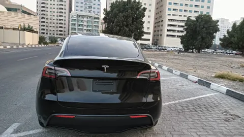 Tesla Model Y Long Range (AWD) 2022